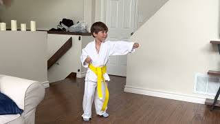 Adrian practicing Taekwondo yellow belt