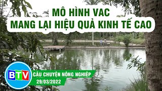 [BTV] - Mô hình VAC mang lại hiệu quả kinh tế cao | Câu chuyện nông nghiệp 29.03.2022