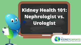 Kidney Health 101: Nephrologist vs. Urologist
