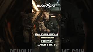 ElonXCat Where Fun Innovation and Vision Come Together