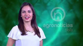 AGRONOTICIAS sie7e PROGRAMA 87