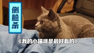 🌈小猫咪的颜值，简直是治愈心灵的良药！