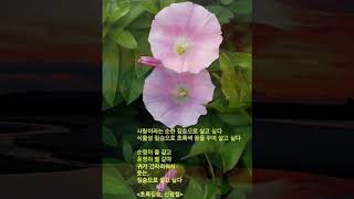 신광철 작가의 작품세계 / 박애란