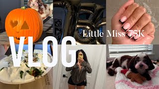 75K WHO DIS??? | Fall Shopping + Treating Myself + Gym + Nails  + Pumpkin Pictures???