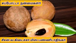 Benefits of sapota in Tamil | சப்போட்டா பழத்தின் நன்மைகள்