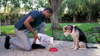 Redbarn Dry Dog Food (Jasper Loves Meat)