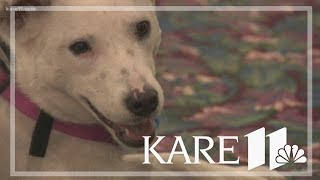 Coon Rapids funeral home 'employs' therapy dog