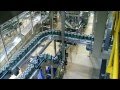 Tour At The Heineken main Factory