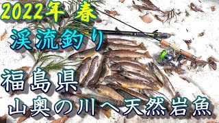 2022年福島県渓流釣り解禁！春天然イワナの釣り方「後編」