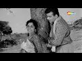 tumhi mere meet ho pyase panchi 1961 mehmood ameeta jeevan