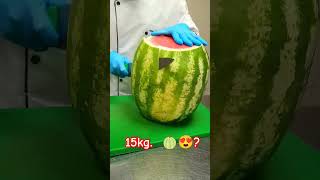 amazing 15kg melon 😍🍈 #wow #fruits