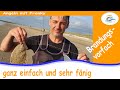 Brandungsvorfach | selber bauen | ganz einfach | und super fängig