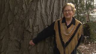 Oak Tree Knowledge with Carolyn King, Mississaugas of the Credit First Nation