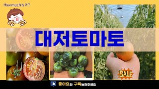 대저토마토 맛과 효능 리뷰! 신선한 먹거리의 모든 것