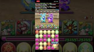 【パズドラ】聖域の守護神アテナ-NON-試運転【闘技場3】