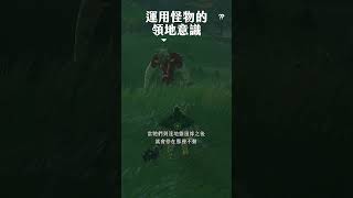 《薩爾達傳說王國之淚》怪物的領地意識？運用地盤特性分批取勝！ #shorts