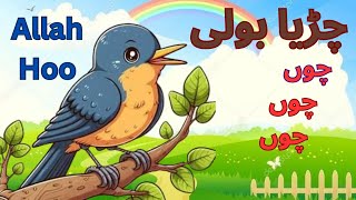 🕊️ Allah Hoo Allah Hoo (Poem) Chidiya Boli Chu ChuChu TV Nursery Rhymes \u0026 Kids Songs