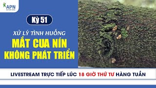 APN - XỬ LÝ TÌNH HUỐNG MẮT CUA BỊ NÍN VÀ KHÔNG PHÁT TRIỂN | TRÒ CHUYỆN SẦU RIÊNG KỲ 51