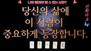 [타로/인연💗] 당신의 삶에 이 사람이 중요하게 등장합니다 🎀