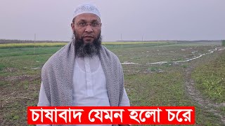 পালের চরে চাষাবাদ যেমন হলো | bd farming | mahamudul hasan | Y Bee