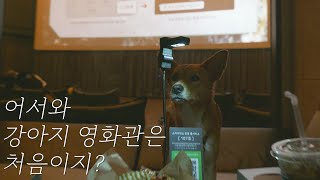 [152화] 강아지와 함께하는 설 특선영화│강아지 동반 영화관│애견동반 영화관│영화공장