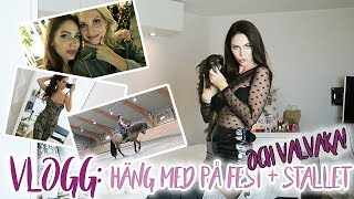 VLOGG - Häng med på fest, stallet och valvaka!