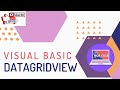 VISUAL BASIC   DATAGRIDVIEW