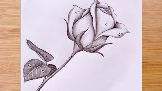 How To Draw a Rose with Water Drops  - Pencil Sketch