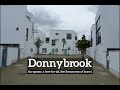 How to Say Donnybrook in English? | What is Donnybrook? | How Does Donnybrook Look?