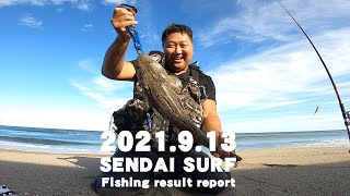 遂に50cmオーバーが釣れた！仙台サーフで仕事終わりの短時間勝負！