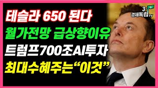 [테슬라 650 된다! 월가 전망 급상향 이유는? 트럼프 700조 AI투자! 최대 수혜주는 '이것']#재테크#해외주식투자#테슬라#비트코인#3.1경제독립tv