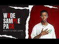 (FREE!!) W4DE SAMPLE PACK🔥🔥