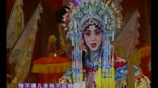 Beijing Opera - Huadan (the beautiful vivacious young female role)