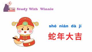 新年祝福语 : Chinese New Year Blessing and Wishes   #春节  ＃新年祝福语 #学习中文  #pinyin #学习汉语  #chinesevocabulary