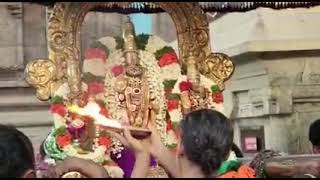 திருவள்ளூர் அருள்மிகு வீரராகவ பெருமாள்