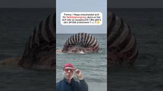 Whale Timmy / Hope is being blown up!