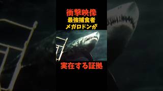 メガロドン深海で実在確認か#shorts