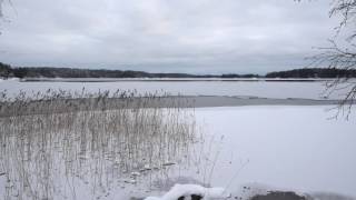 Enäjärvi Salo 12.11.2016