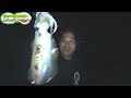 4 釣った魚で１泊２日 初めての離島は夜も絶好調