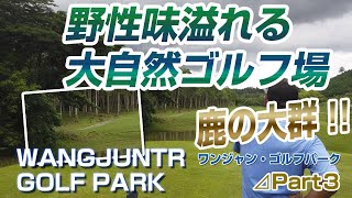 鹿・鹿・鹿・・ゴルフ場に大量の鹿が？！WANGJUNTR # 3【タイ ゴルフ】