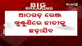 ଟ୍ରାଙ୍କୁଲାଇଜ୍ ହେଲା ଜଗତପୁରରେ ଆତଙ୍କ ଖେଳାଇଥିବା ହାତୀ, ଆଠଗଡ଼ ରେଞ୍ଜ ଖୁଣ୍ଟୁଣି ଅଭିମୁଖେ ହାତୀ