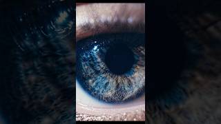 The human eye at macro level #shorts #macro #eyes