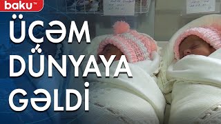 Qubada üçəm dünyaya gəldi - Baku TV