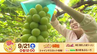 【さくらんぼテレビ】昼ドキ！TV　やまがたチョイす9月21日（土）OA予告