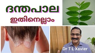 ദന്തപാല || Ayurveda's Secret for Skin Health || Dr T L Xavier