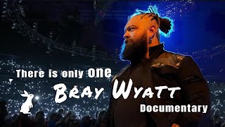 There is only one Bray Wyatt Documentary