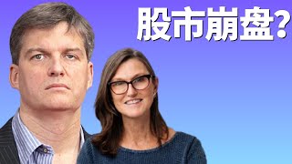 股市离崩盘不远? The big short里头的Michael Burry开战 Cathie Wood的Arkk Innovation ETF