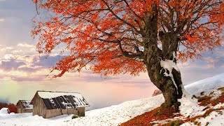ЗИМА, СНЕГ.ЛЮБОВЬ! Одна из самых красивых,волшебных зимних мелодий! Чарующая красота зимней природы