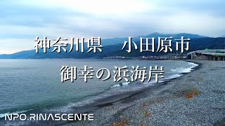 神奈川県　小田原市　御幸の浜海岸　ドローン動画