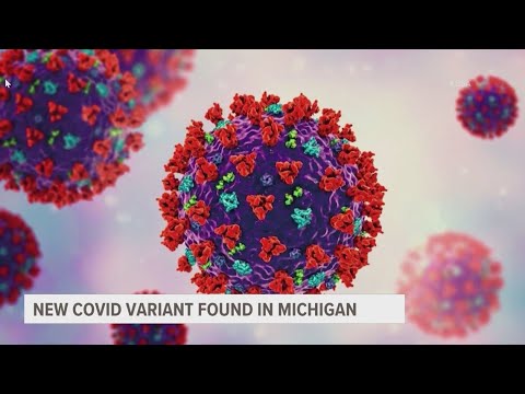 First U.S. Case Of New COVID-19 Variant Found In Michigan - YouTube